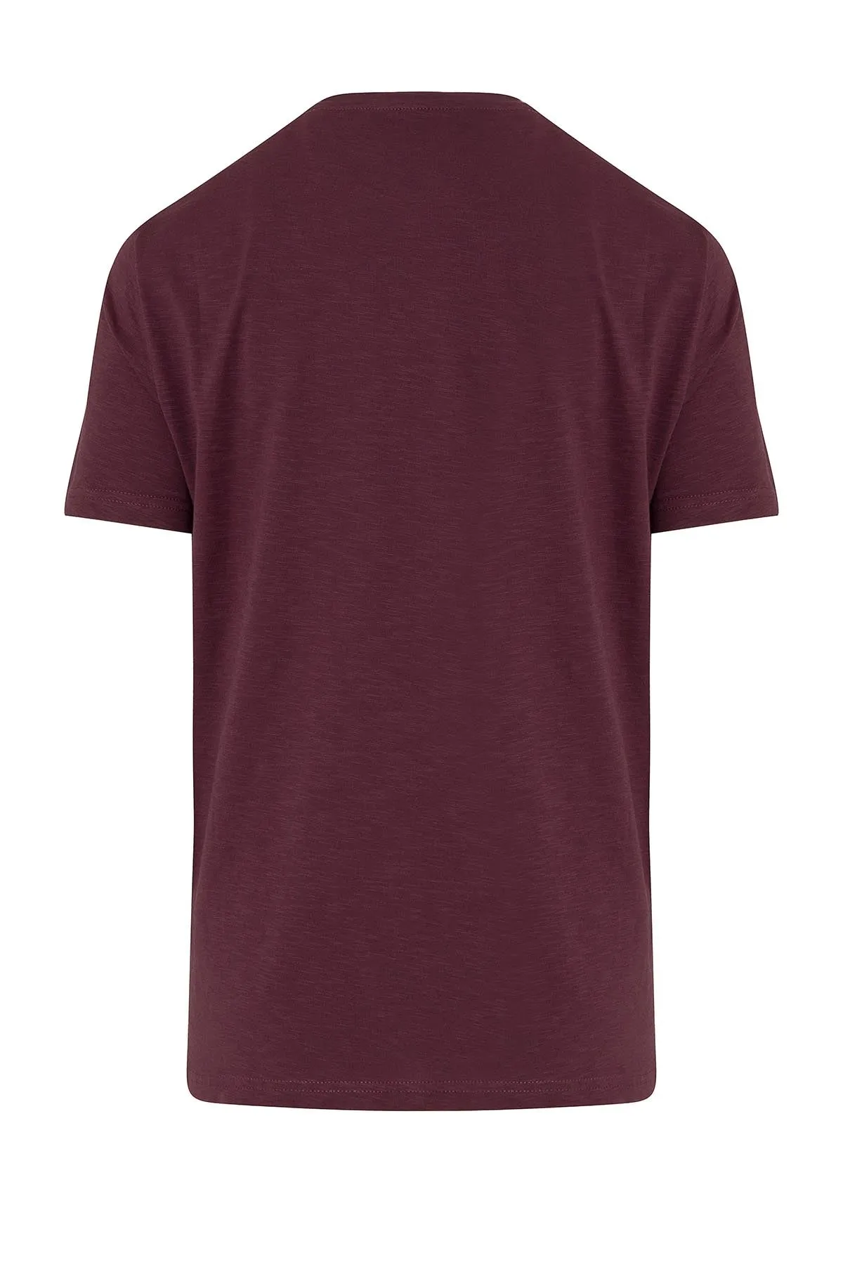 Slim Fit Basic Cotton Plum Crew Neck T-Shirt